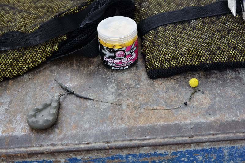 Yellow is generally a good starting point with highly visually in your face hookbaits!