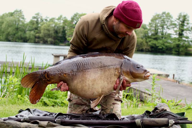 44lb of Horton carp limited time does not mean you can not catch big, pressured fish!