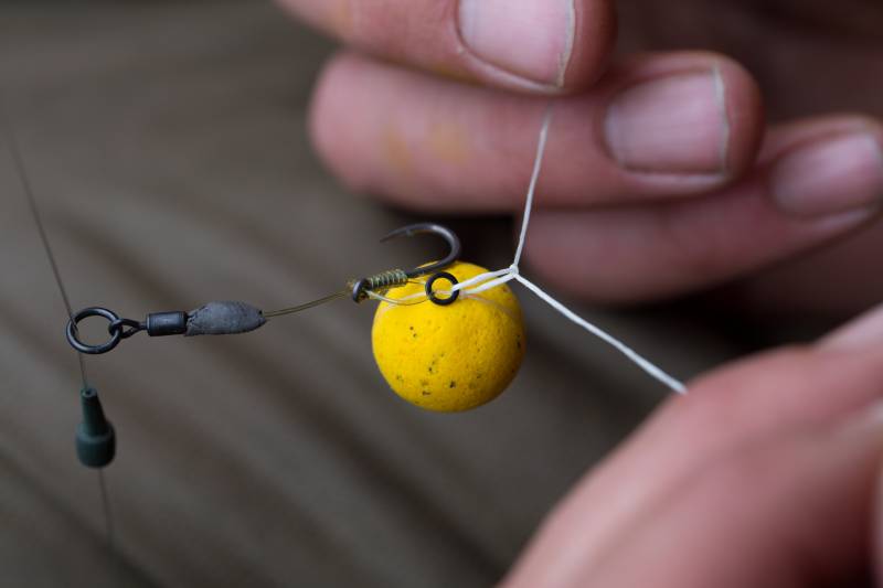 Yellow hookbaits such as Essential Cell pop-ups are a great starting point
