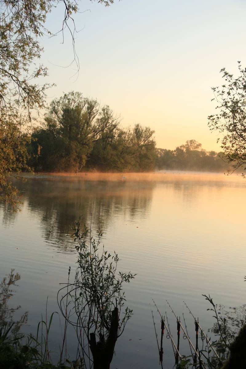 A beautiful spring morning