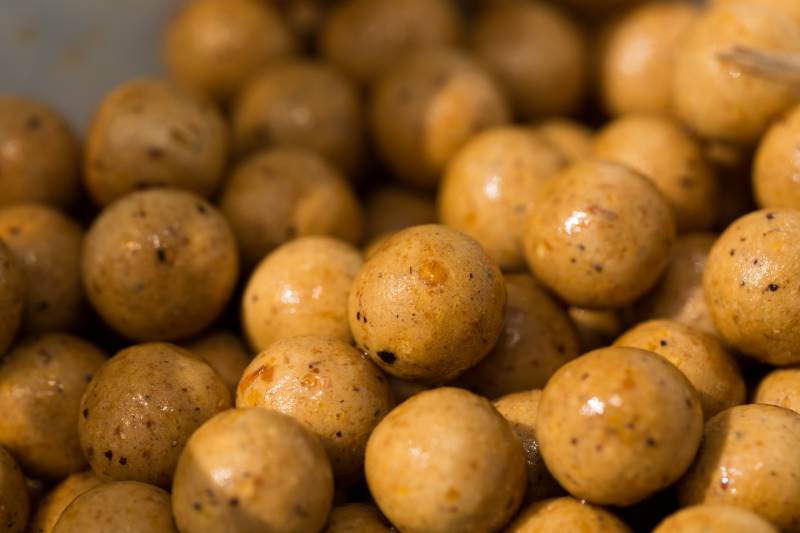 Packed with nutritional values, boilies like this are exactly what the carp are looking for