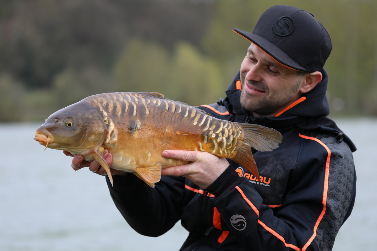 BOILIES