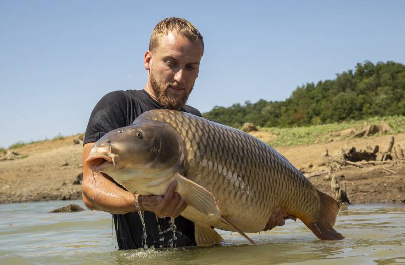 Carp love Tigers – like this huge 65lb common!