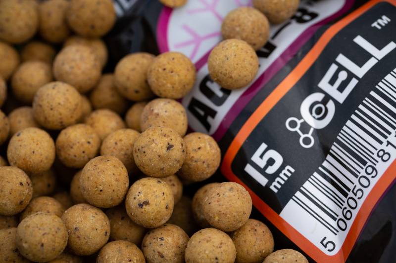 Cell boilies – a fundamental part of my feed