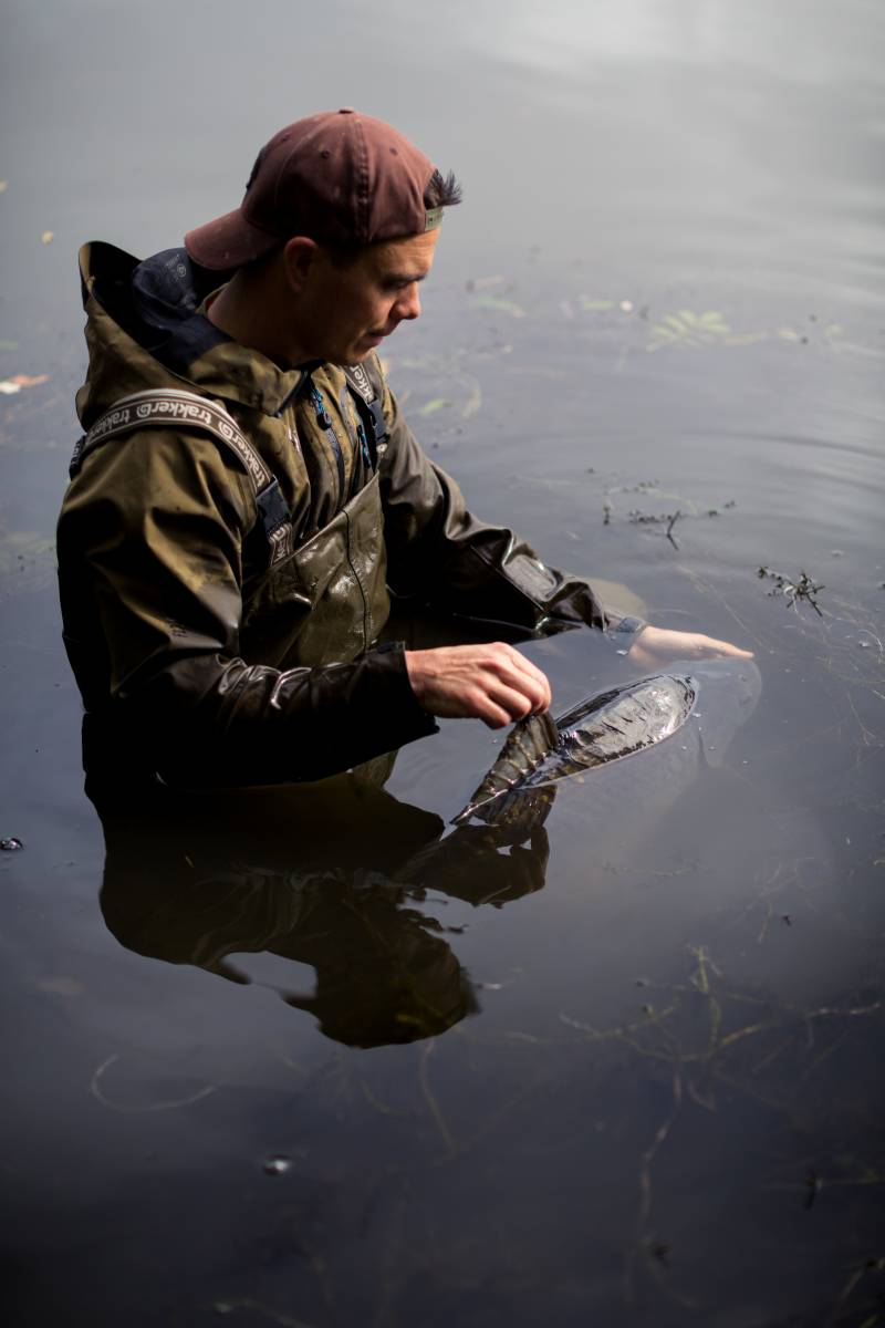 : Another great result from baiting heavily and keeping the rods in the water that bit longer