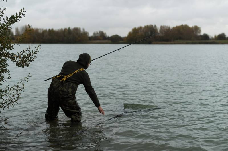 Another autumn carp approaches the net!