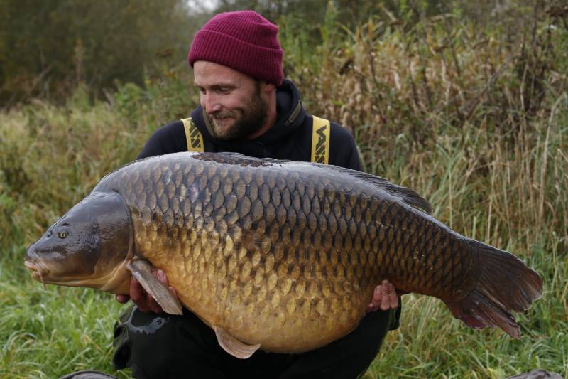 A huge Belgian common falling to water-soaked baits