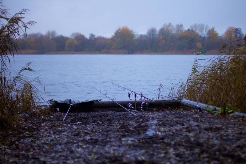 Late November and two in the net.  As I took a quick shot to record the moment, the middle rod tore off!