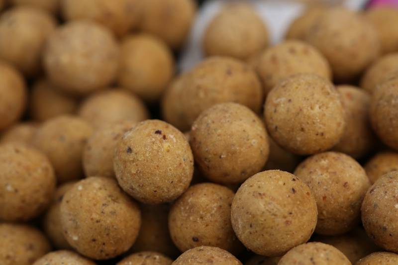 Cell boilies; if there’s a lack of nuisance fish I’ll chop some up too