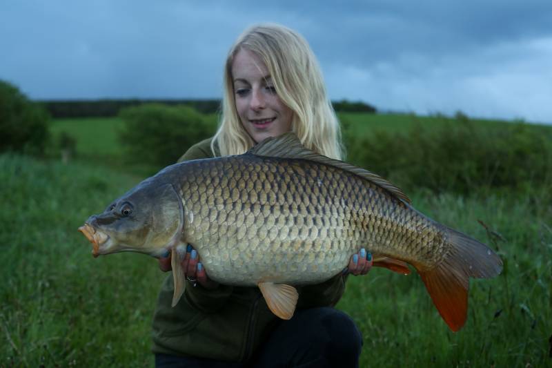 A blue hour Upper common typical of the stock there