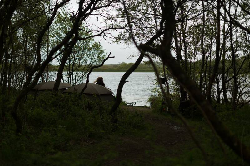 Tucked away in ‘The Long Walk’ on Lower Tamar