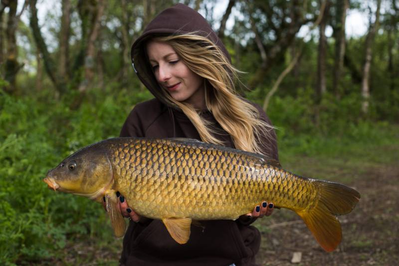 You’ll catch a few commons at Lower on your way to the old mirrors