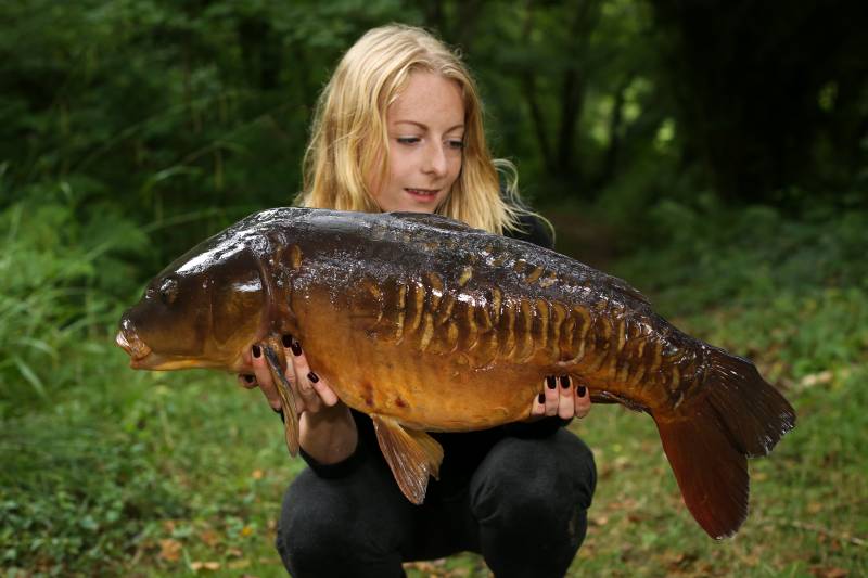 Stunning summer Old Mill carp