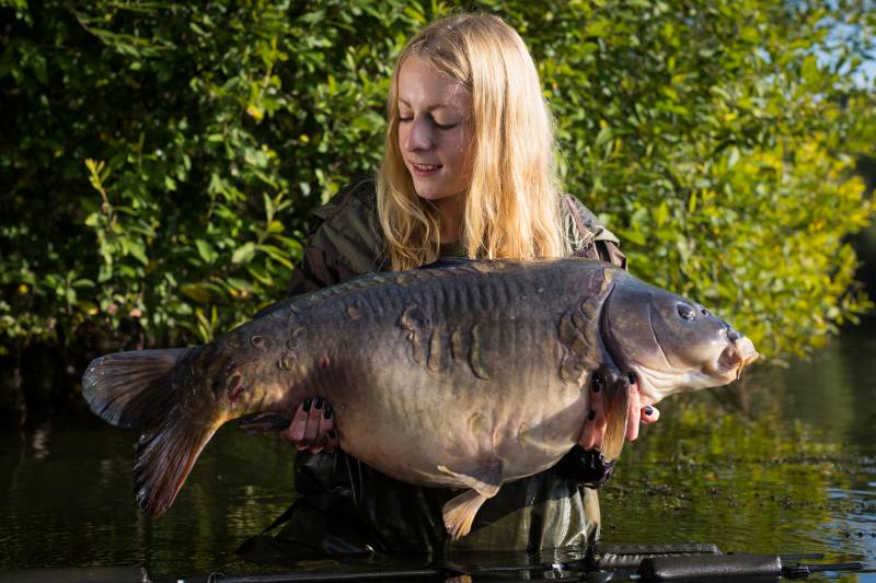 Image © Mainline Baits