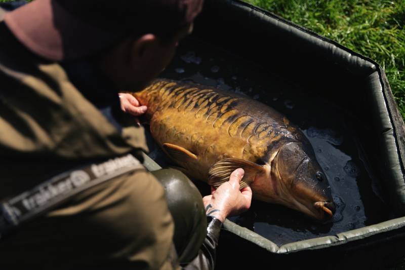 A stunning mirror for Adam to wrap-up our session and chapter of The Carp Project Vol:02