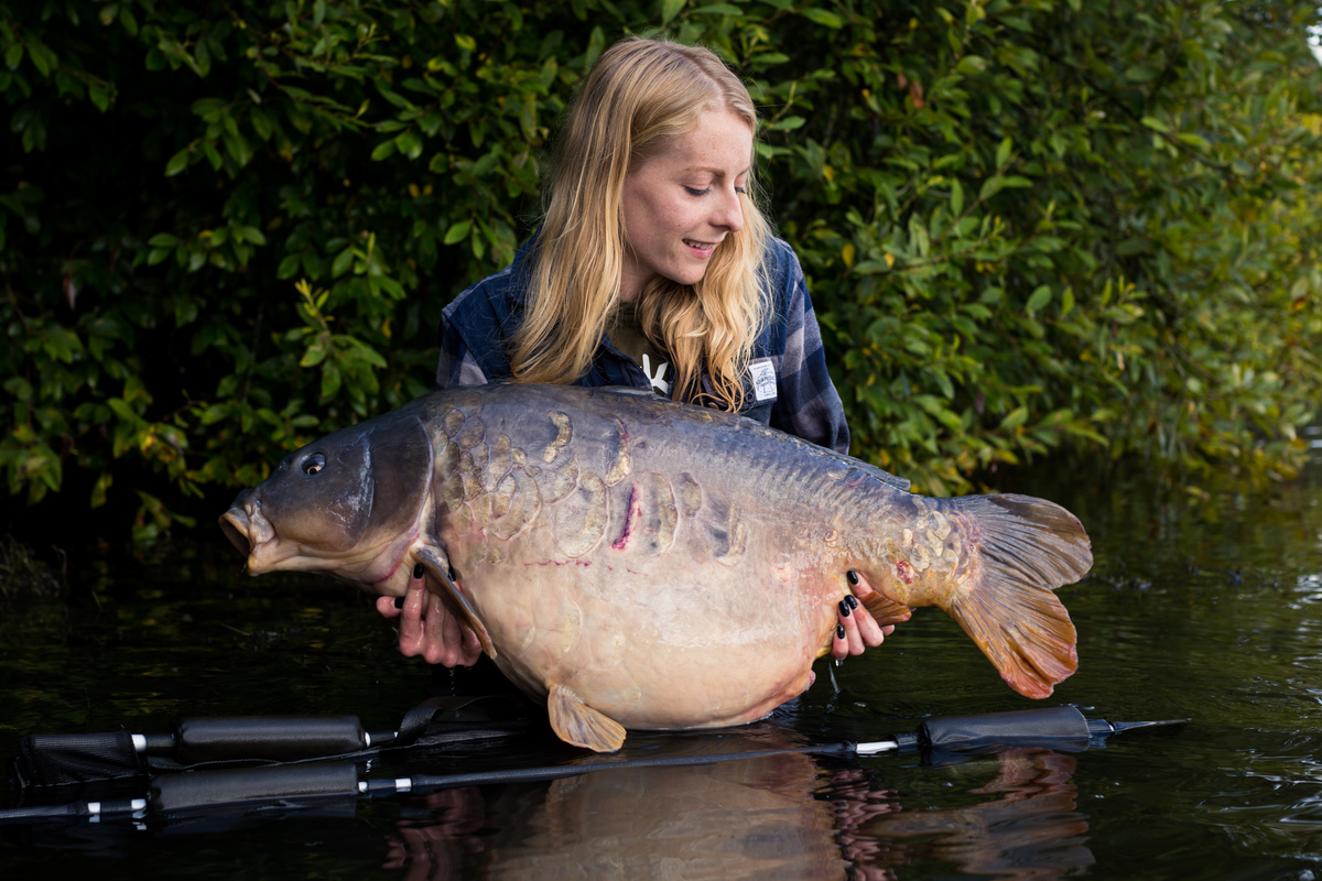 Never seen a fish that size before!' Angler catches Britain's biggest EVER  carp at 68lb, Nature, News