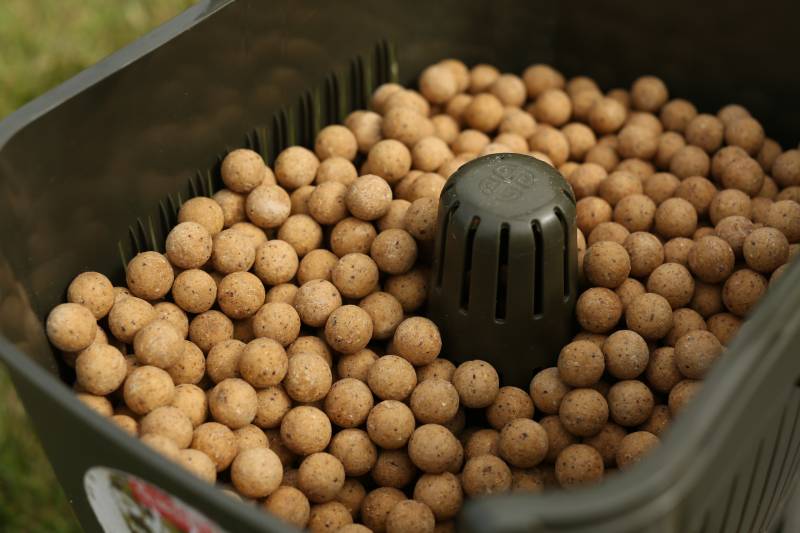 Cell boilies are the perfect starting point in winter