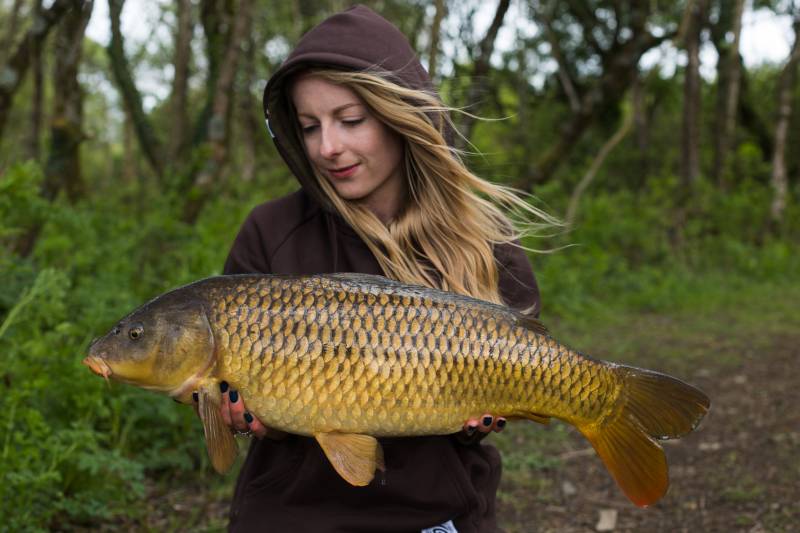 An early season common after pre baiting the area