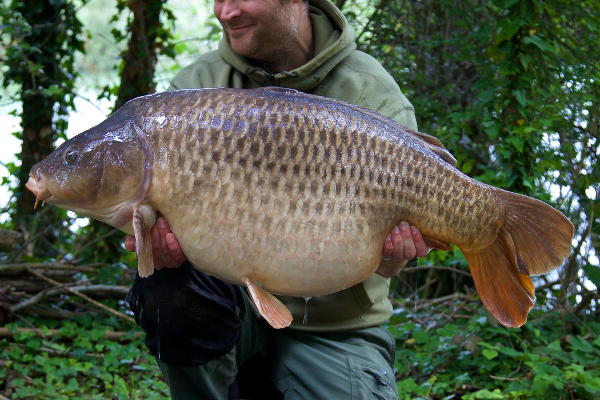 A capture of the much sort after Back Up, 45lb 5oz, after she fell to Cell.