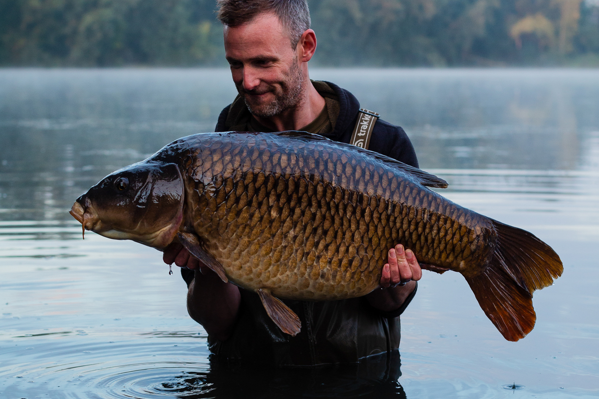 A forty-pound Farriers common caught on a Cell Balanced Wafter.