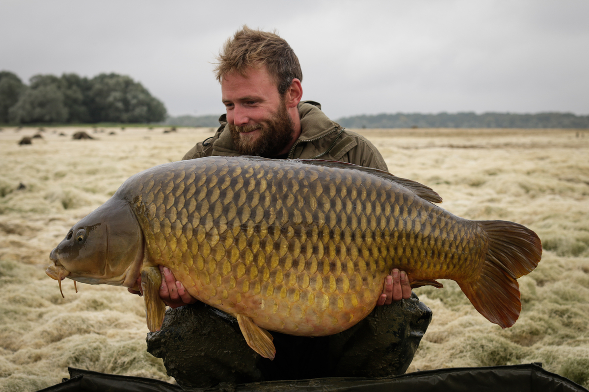 Mainline boilies catch them everywhere!