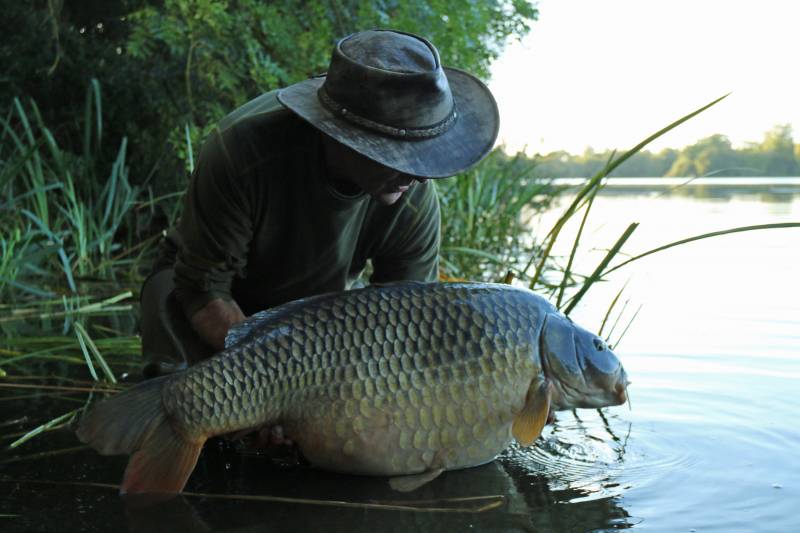 The Big Common from W2 on a Salty Squid wafter.
