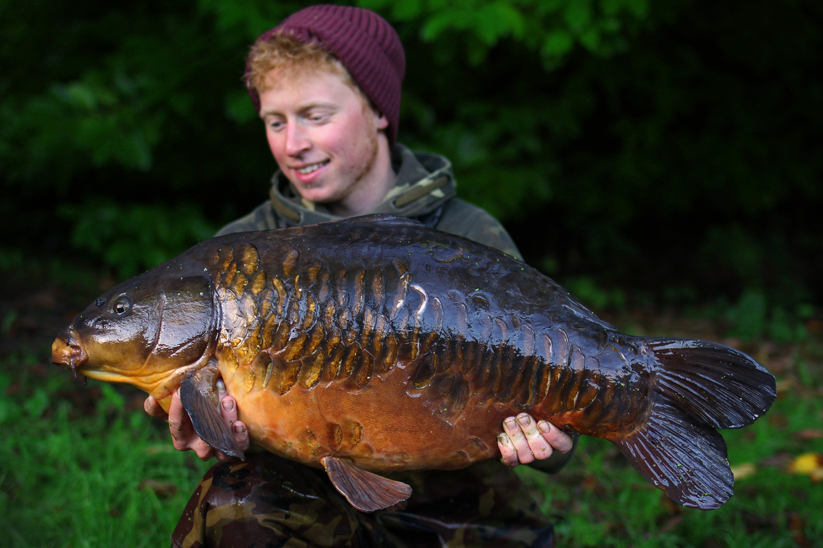 TEAM MAINLINE BAIT FAVOURITES  JONNY OLD