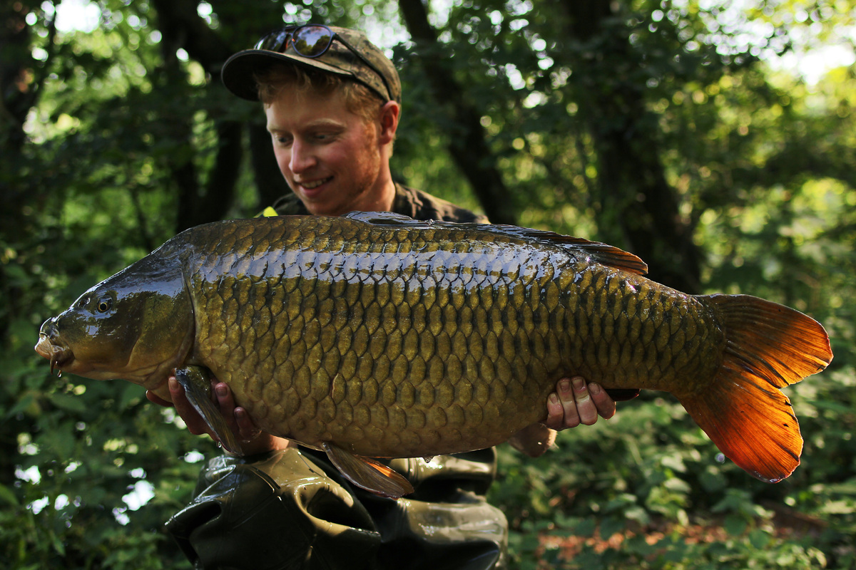 A Cell Balanced Wafter accounted for this 32lb Ringwood common.