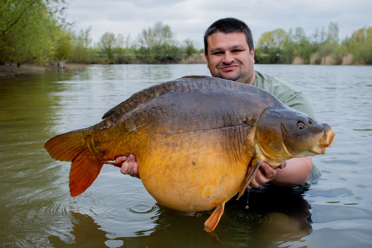 54lb on the Essential Cell!