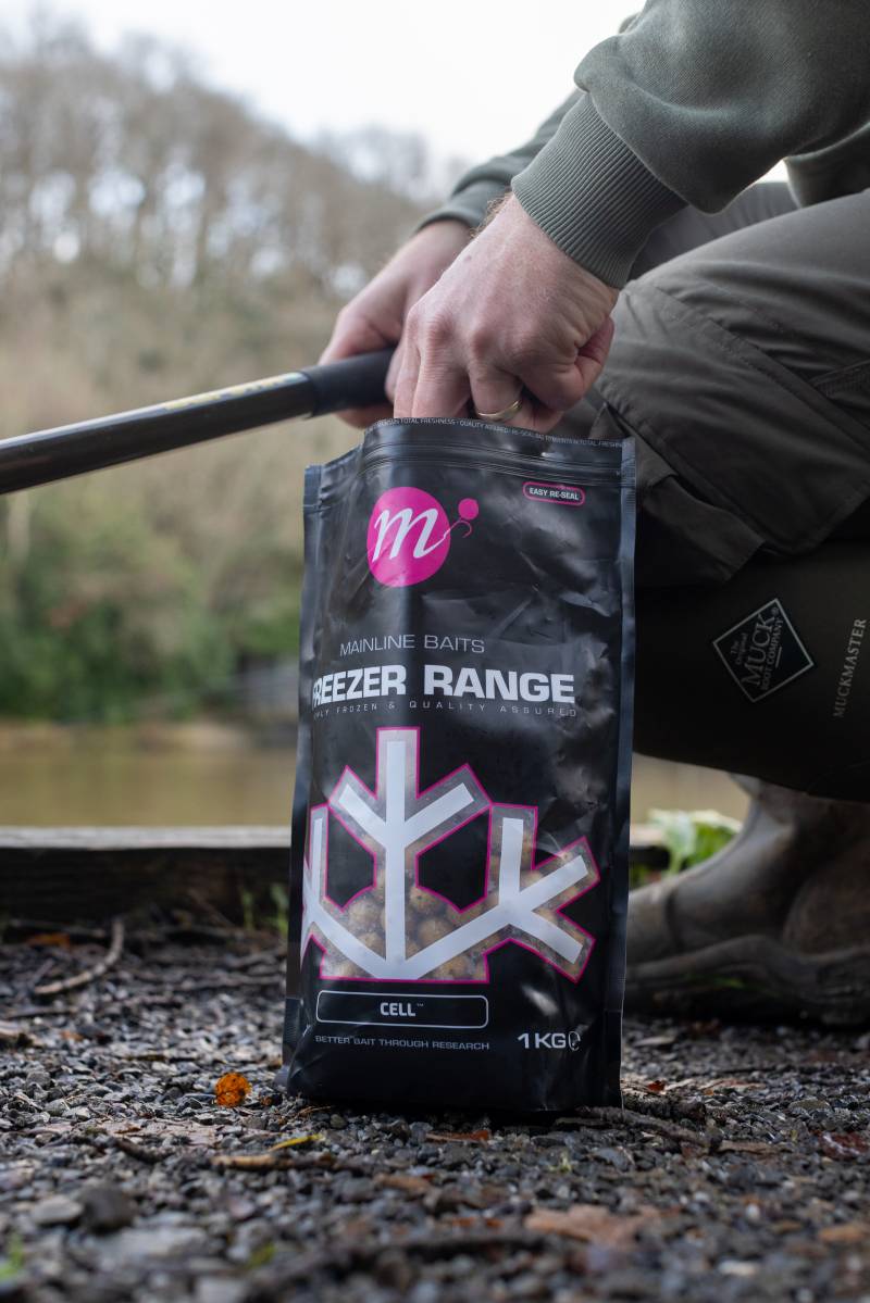 I started with a light feed of 15mm Cell boilies.