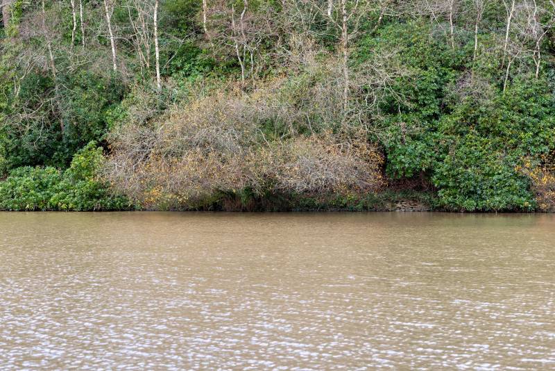 The overhanging trees, bushes and gaps in between created great features on the far, no-fishing bank.