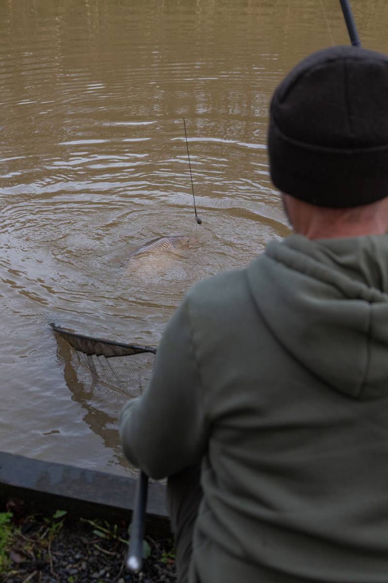 Over the cord she goes!