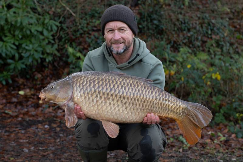 A low-twenty Jennets common &ndash; typical of the lakes stock.