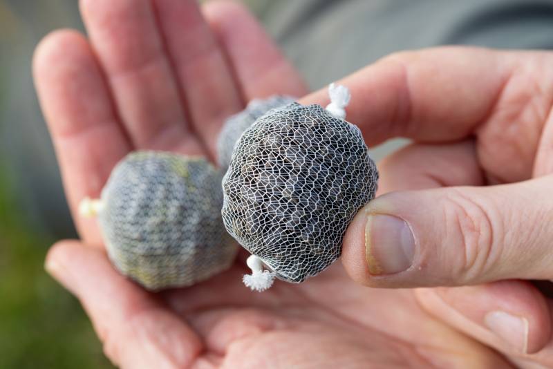 PVA mesh bags are great for small bait items like pellets.