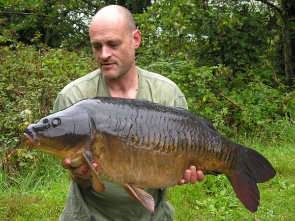 A stunning, mid 20, zip linear!