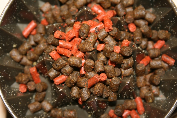 I use a blend of Cell and Bloodworm pellets