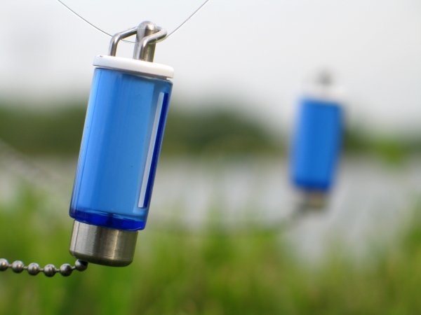 Whilst using steamed boilies these guys stayed motionless for far too long!