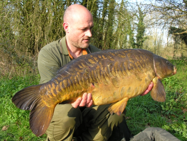 A heavily scaled Dinton beauty!