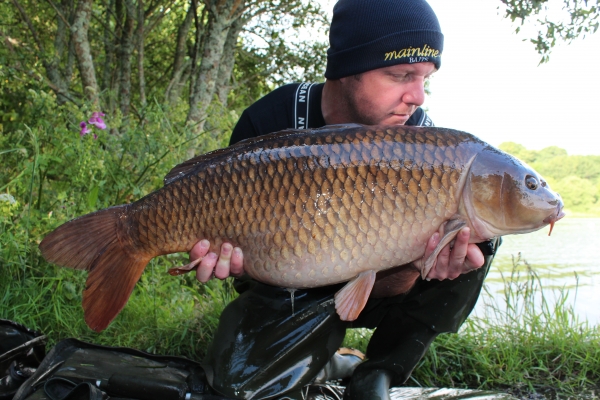 Next was this perfect mid 20 common.