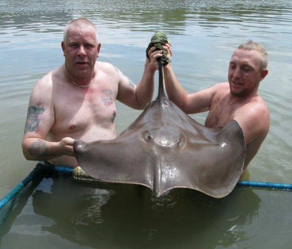 30lb Stingray!