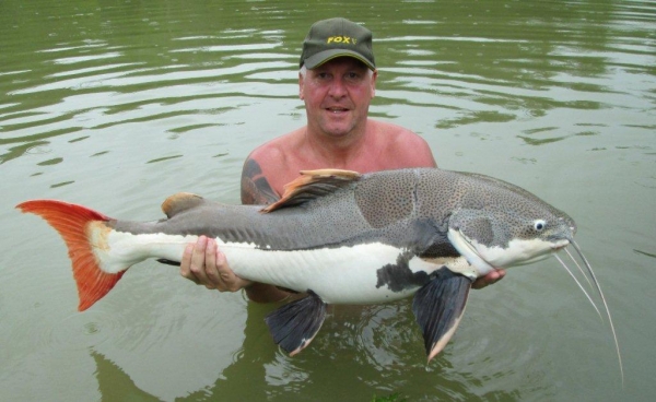 Gary with a 40+ Amazon red tail