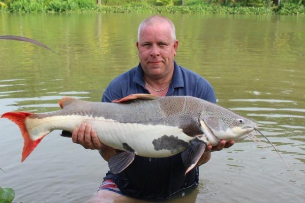 My 37lb Amazon red tail!