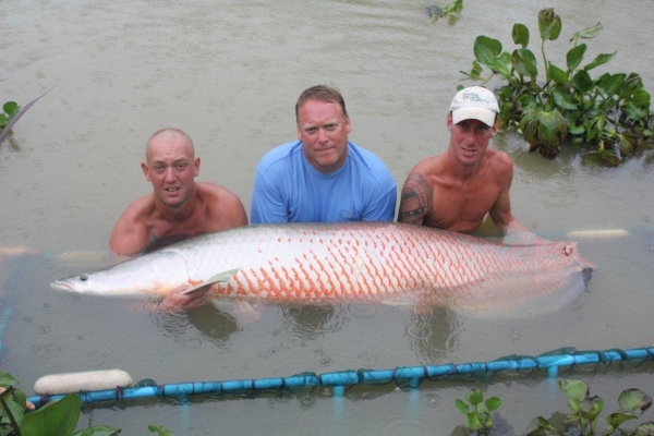 Kev with a 220lb Arapaima!