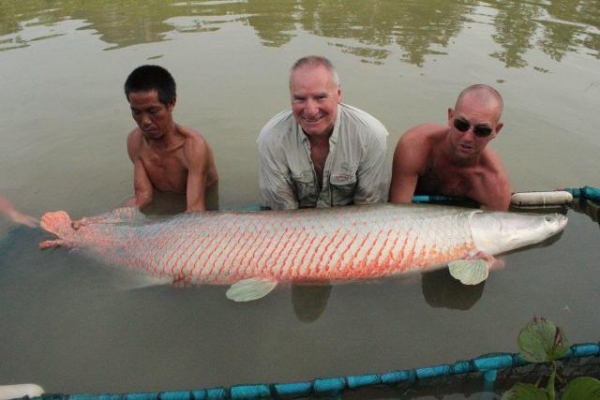 Scaff with a huge 260lb Arapaima!