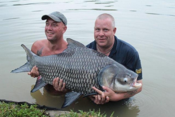 A massive 90lb Siamese carp!