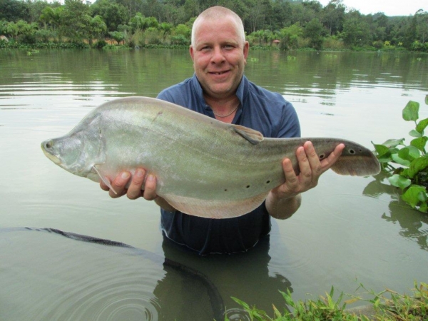 Gillhams - Small and Large Predators Rig (catfish etc)