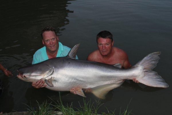 Kev with a 180lb Mekong catfish!