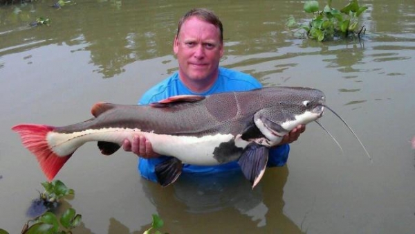Kev again, this time with a 40lb+ Amazon red tail!