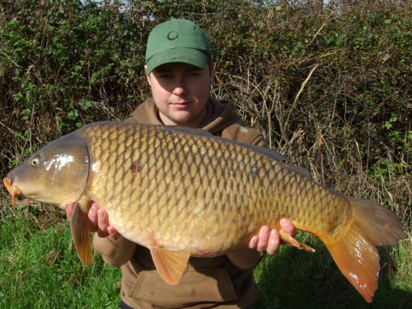 This carp couldn't resist a small Mainline pop-up hovering above a mouthful of pellet!