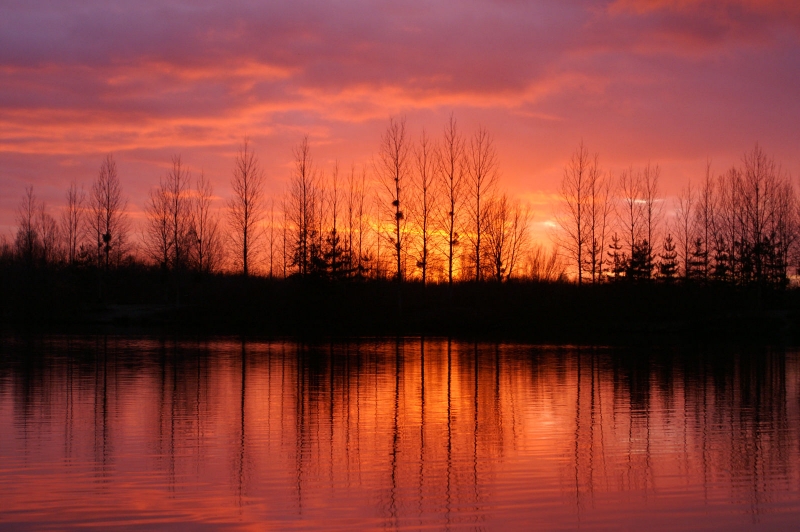 Image © Mainline Baits